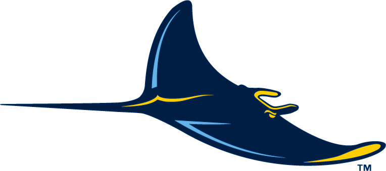 Tampa Bay Rays 2008-Pres Alternate Logo iron on transfers for T-shirts version 2